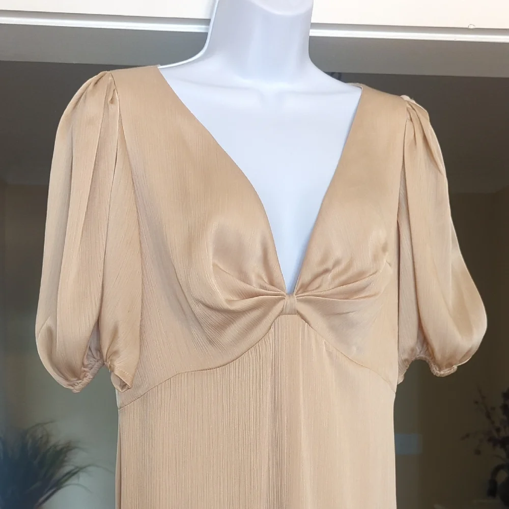 Sachin + Babi Champagne Ruched Maxi Gown - Picture 6 of 6